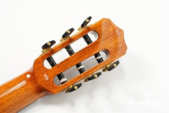STAGE GUITAR LIMITED - BLUE BURST